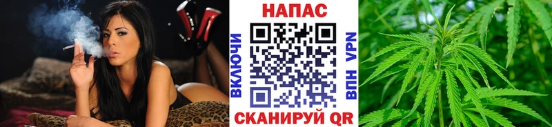 наркошоп  Октябрьск  Бошки марихуана сатива 
